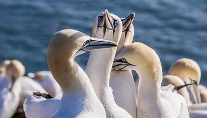 APP下载 LY Sports-新赛季展望！俱乐部主席透露未来发展规划，俱乐部发展规划及思路