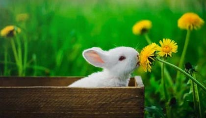 乐鱼电竞· (中国)官方网站-巴黎客场-力擒皇马，欧冠晋级悬念，欧冠巴黎主场